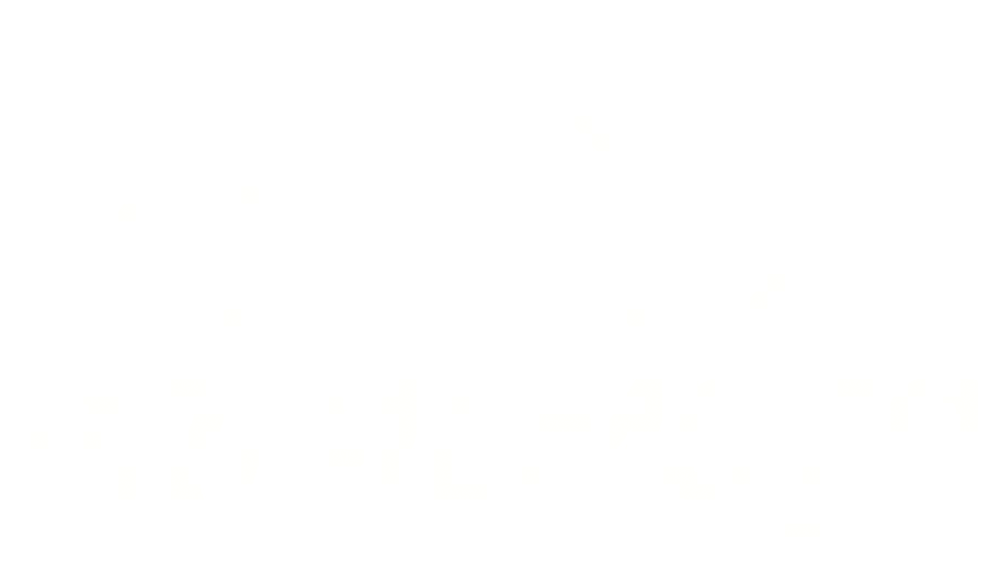 PRIMEMOTO